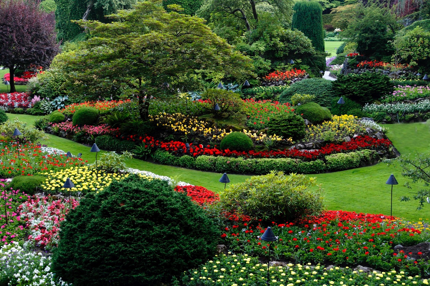 Choosing the Right Landscaping Services for Your Needs